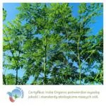 Moringa wykorzystywana w produktach Aurospirul oraz certyfikat India Organic