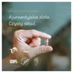 brahmi-kapsulki-aurospirul-infografika