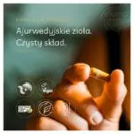 kurkuma-kapsulki-aurospirul-infografika