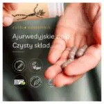 kutki-kapsulki-aurospirul-infografika
