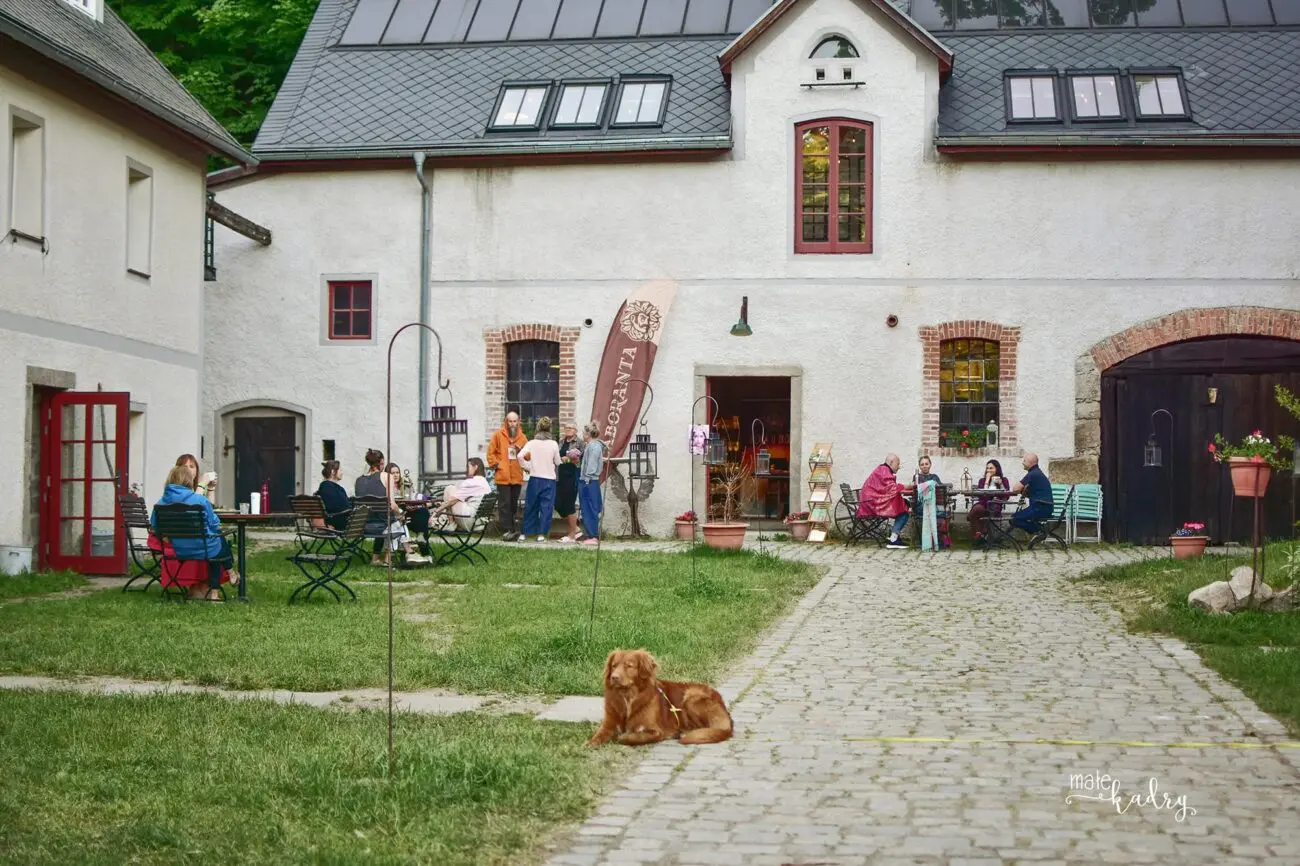Fotorelacja Małe Kadry Festiwal WEDA Powrót do źródła 2026