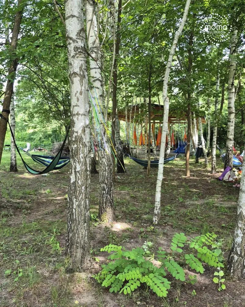 Relacja z Joga Festiwalu w Studzieńcu 2026