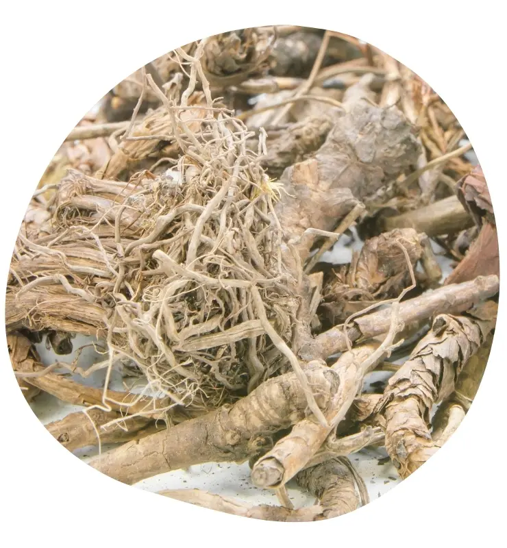 Kutki przewodnik po ziołach MOMA Ayurveda