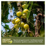 Amla Aurospirul oraz certyfikat Fair Trade