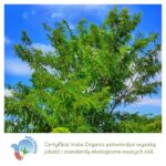 Amla wykorzystywana w produktach Aurospirul oraz certyfikat India Organic
