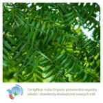 Neem wykorzystywany w produktach Aurospirul oraz certyfikat India Organic
