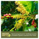 Haritaki Aurospirul oraz certyfikat Fair Trade