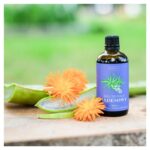 Olej do ciała Aloesowy Prakriti