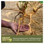 Ashwagandha Aurospirul oraz certyfikat Fair Trade